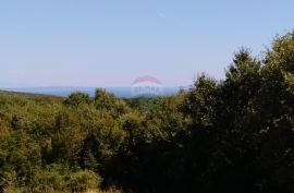 Istra,Valtura,kuća sa dva stana, Ližnjan, Σπίτι