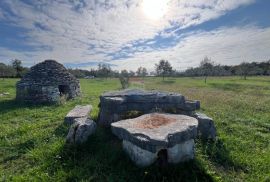 Istra, Vodnjan -okolica, maslinik na zemljištu od 14.000m2, Vodnjan, Terreno