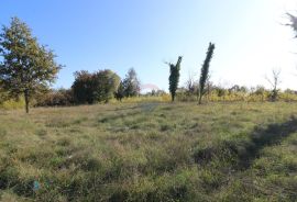 VIŠNJAN, okolica-građevinsko zemljište, Višnjan, أرض