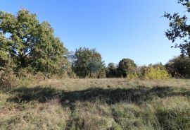 VIŠNJAN, okolica-građevinsko zemljište, Višnjan, Land