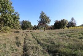 VIŠNJAN, okolica-građevinsko zemljište, Višnjan, أرض