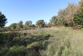 BADERNA, okolica- građevinsko i poljoprivredno zemljište, Poreč, Zemljište