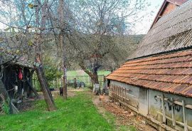 Plaški , Jezero - Kuća na osami s velikom okućnicom!, Plaški, House