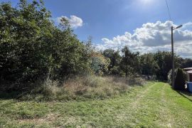 Istra, Poreč- poljoprivredno zemljište na rubu građevinske zone, Poreč, Land