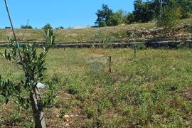 Istra, okolica Svetvinčenta, veliko zemljište, građevinsko i poljoprivredno, Svetvinčenat, Land