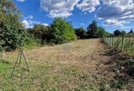 Istra, Kanfanar okolica, odlično građevinsko zemljište, Žminj, Land