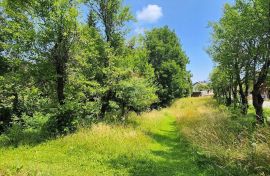 Gorski kotar, Kupjak - građevinski teren sa dvorišnom zgradom 1426 m2, Ravna Gora, أرض