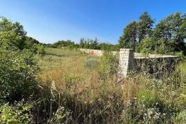 Savičenta okolica,  građevinsko i poljoprivredno zemljište 1594 m2, Vodnjan, Terrain