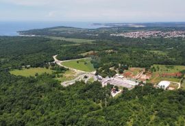 ISTRA, POREČ - Zemljište Ugostiteljsko-turističke namjene 6420 m2, Tar-Vabriga, Land