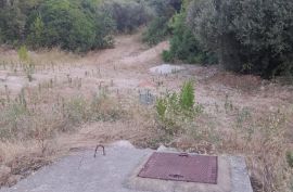 Korčula, Blato, 90 000m2 poljoprivredno zemljište, Blato, Land