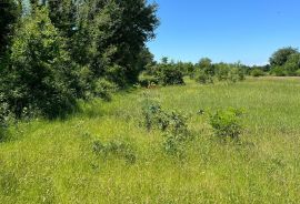 Gradina - okolica, poljoprivredno zemljište ukupne kvadrature 18 670m2, Sveti Lovreč, Land