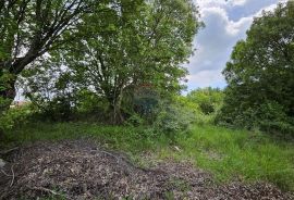 Istra, Kaštel-Buje, građevinsko zemljište stambene namjene, Buje, Land