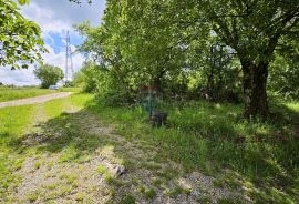 Istra, Kaštel-Buje, građevinsko zemljište stambene namjene, Buje, Land