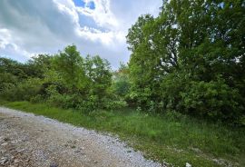 Istra, Kaštel-Buje, građevinsko zemljište stambene namjene, Buje, Land