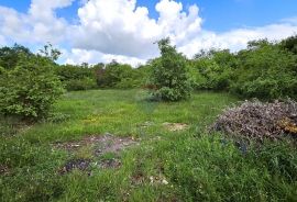 Istra, Kaštel-Buje, građevinsko zemljište stambene namjene, Buje, Land