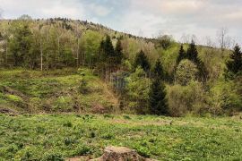 Gorski kotar, Vrbovsko - Prekrasno zemljište okruženo šumom, Vrbovsko, Terra