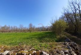 Istra, Sveti Petar u Šumi - savršen građevinski teren 2500m2, Sveti Petar U Šumi, Terrain