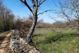 Istra, Sveti Petar u Šumi - savršen građevinski teren 2500m2, Sveti Petar U Šumi, Terrain