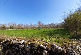 Istra, Sveti Petar u Šumi - savršen građevinski teren 2500m2, Sveti Petar U Šumi, Terrain