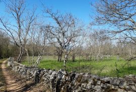 Istra, Sveti Petar u Šumi - savršen građevinski teren 2500m2, Sveti Petar U Šumi, Terrain