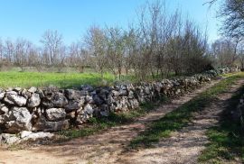 Istra, Sveti Petar u Šumi - savršen građevinski teren 2500m2, Sveti Petar U Šumi, Terrain