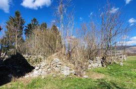 Gorski Kotar, Lič - samostojeća autohtona kuća sa okućnicom 722 m2, Fužine, Kuća