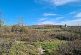 Lovreč: Poljoprivredno zemljište s priključkom vode, Sveti Lovreč, Terreno