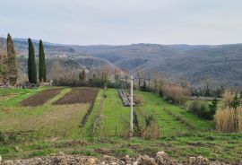 Motovun, okolica: Građevinsko zemljište na brijegu savršenog pogleda, Motovun, أرض