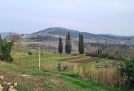 Motovun, okolica: Građevinsko zemljište na brijegu savršenog pogleda, Motovun, أرض