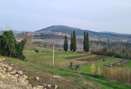 Motovun, okolica: Građevinsko zemljište na brijegu savršenog pogleda, Motovun, أرض