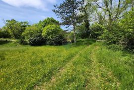 Istra, Gambetići, Cvitani - zemljište, Višnjan, Land