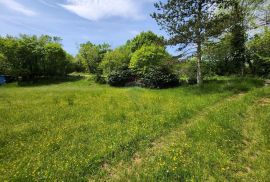 Istra,Gambetići - zemljište, Višnjan, Terrain