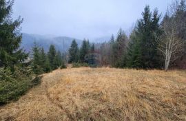 Gorski Kotar, Stari Laz - građevinski teren sa dozvolom i projektom, Ravna Gora, Terrain