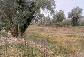 Istra, Smoljanci poljoprivredno zemljište na rubu urbanizacije, Svetvinčenat, Land