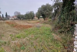 Istra, Smoljanci poljoprivredno zemljište na rubu urbanizacije, Svetvinčenat, Land