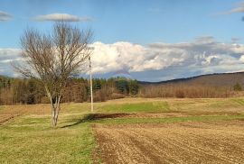 Ogulin, građevinsko zemljište u industrijskoj zoni, Ogulin, Land