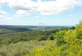 Istra, Buje okolica - atraktivna lokacija, panoramski pogled na more, Buje, Zemljište