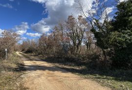 Istra, Poreč - okolica, veliko poljoprivredno zemljište u prvom redu do industrijske zone Kukci, Poreč, Zemljište