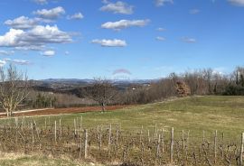 Istra, Vižinada - okolica, građevinsko zemljište otvorenog pogleda na prirodu, Vižinada, Zemljište