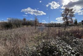 Istra, Vižinada - okolica, građevinsko zemljište otvorenog pogleda na prirodu, Vižinada, Zemljište