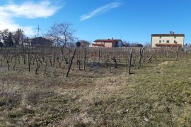 Istra, Karojba prekrasno građevinsko zemljište južne orijentacije, Karojba, Land