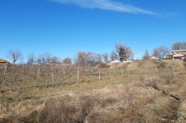 Istra, Karojba prekrasno građevinsko zemljište južne orijentacije, Karojba, Land