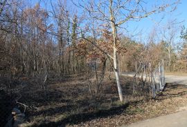 Građevinsko zemljište s lijepim pogledom, Karojba, Land