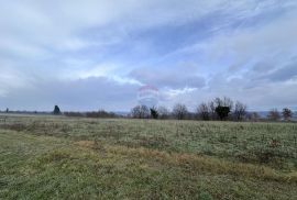 Istra, okolica Barbana, građevinsko zemljište, Barban, Terrain