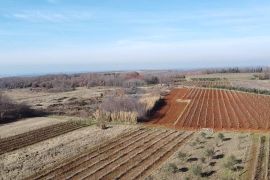 Istra, Kaštelir - Poljoprivredno zemljište u Kašteliru, Kaštelir-Labinci, Zemljište