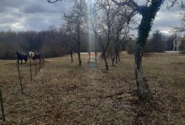 Istra, Žminj prekrasna građevinska parcela, Žminj, Zemljište