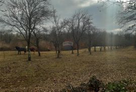 Istra, Žminj prekrasna građevinska parcela, Žminj, Zemljište