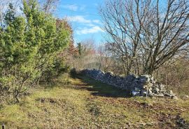 Labin, Trget poljoprivredno zemljište od 3669m2, Labin, Land