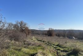 Vrsar okolica, poljoprivredno zemljište, Vrsar, Terrain