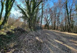 Tinjan - okolica, građevinsko zemljište industrijske namjene, Tinjan, Land